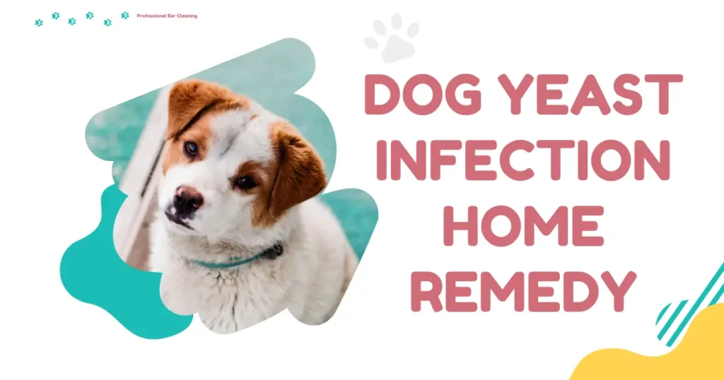 Dog Yeast Infection Home Remedy