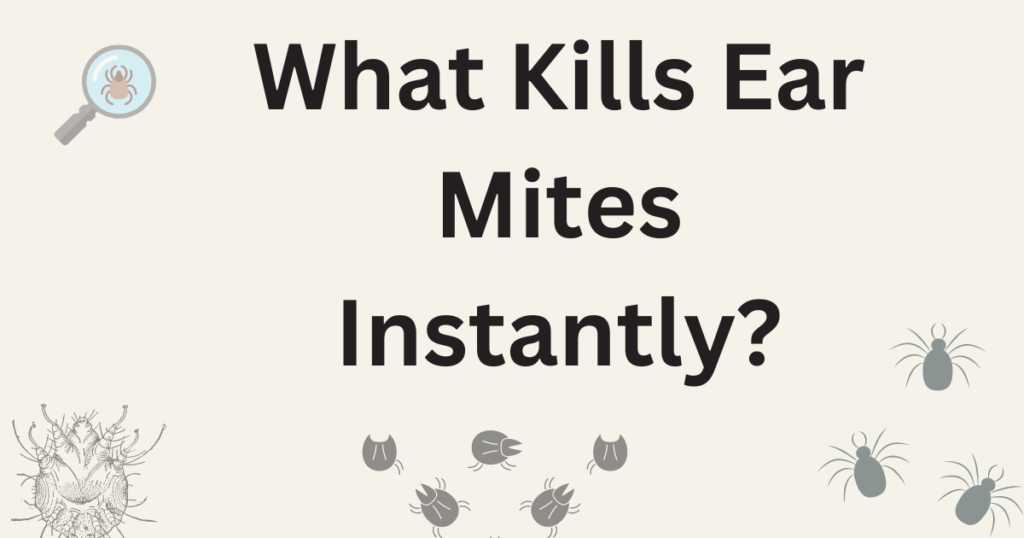 What Kills Ear Mites Instantly