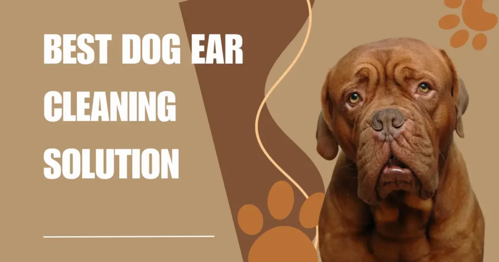 Best Dog Ear Cleaning Solution