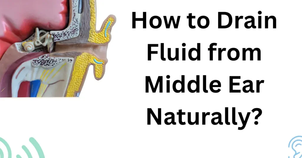 How to Drain Fluid from Middle Ear Naturally?